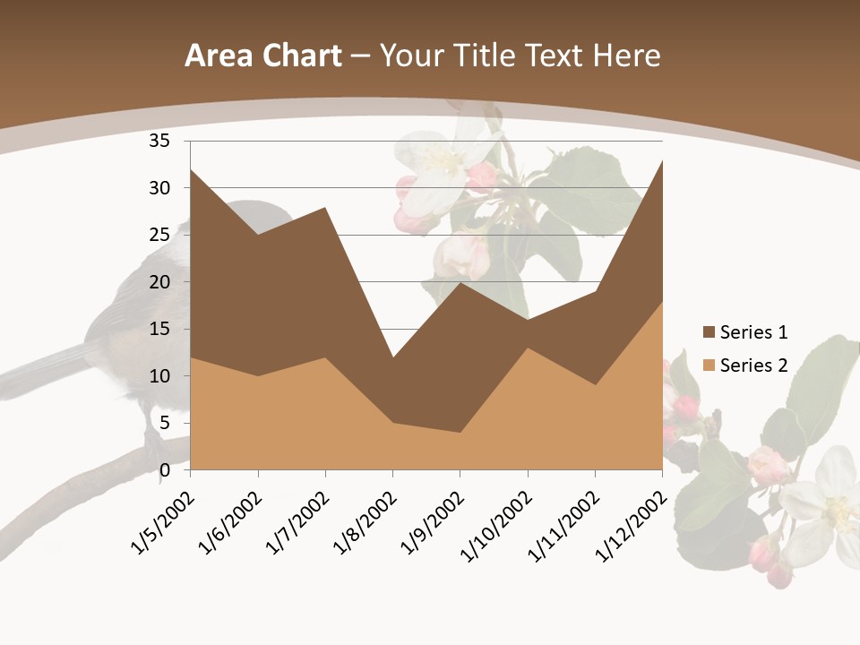 Flight Birding Bill PowerPoint Template