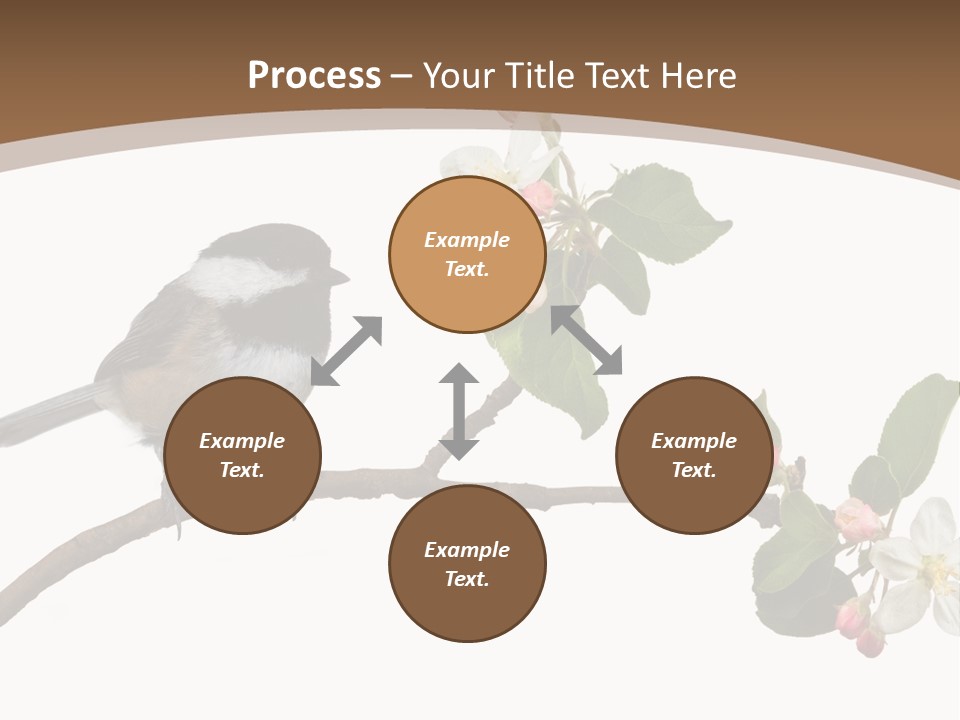 Flight Birding Bill PowerPoint Template