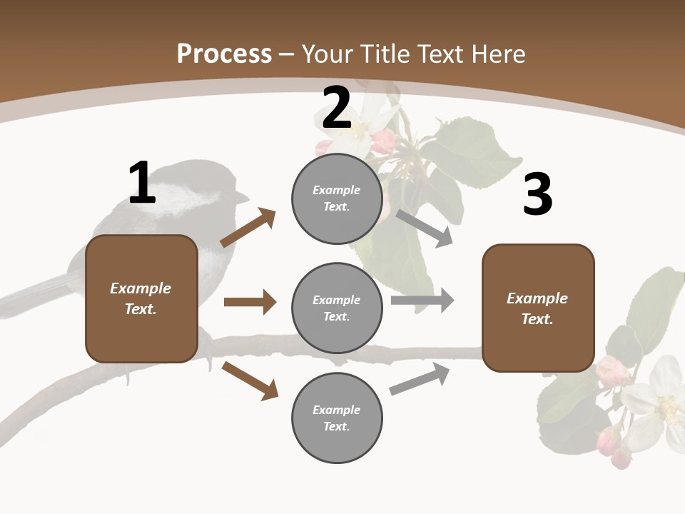 Flight Birding Bill PowerPoint Template