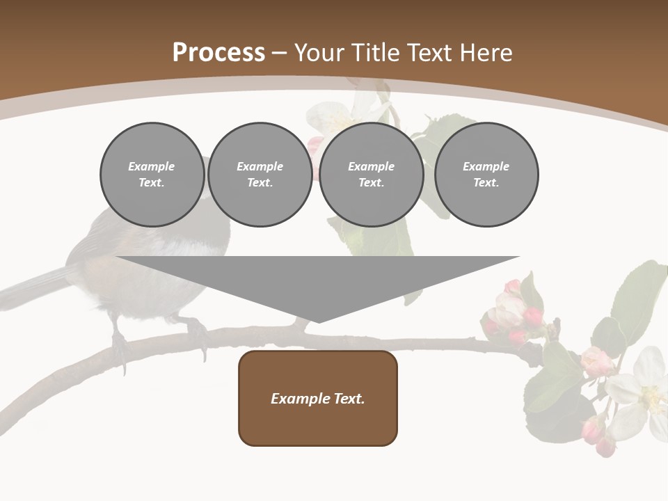 Flight Birding Bill PowerPoint Template