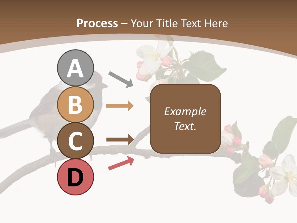 Flight Birding Bill PowerPoint Template