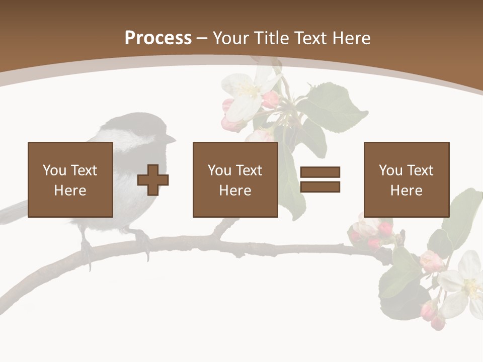 Flight Birding Bill PowerPoint Template