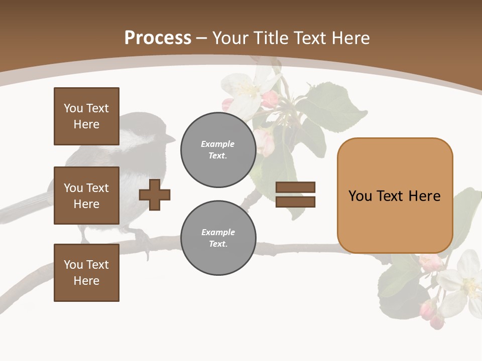 Flight Birding Bill PowerPoint Template