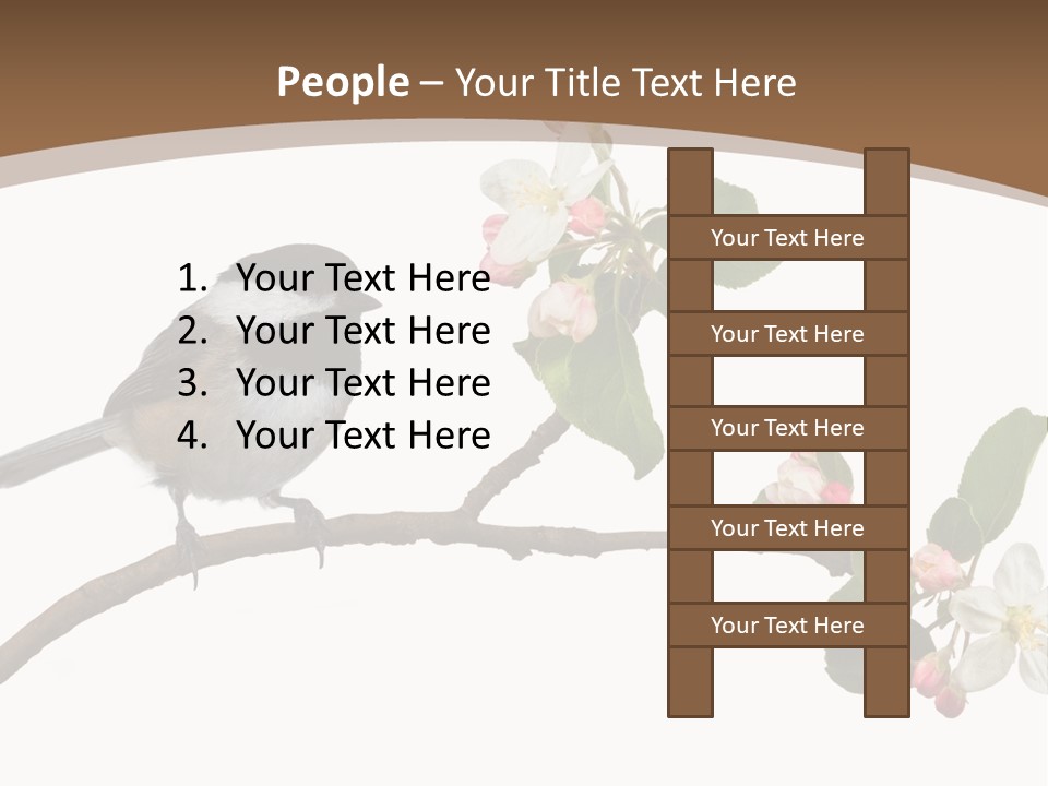 Flight Birding Bill PowerPoint Template