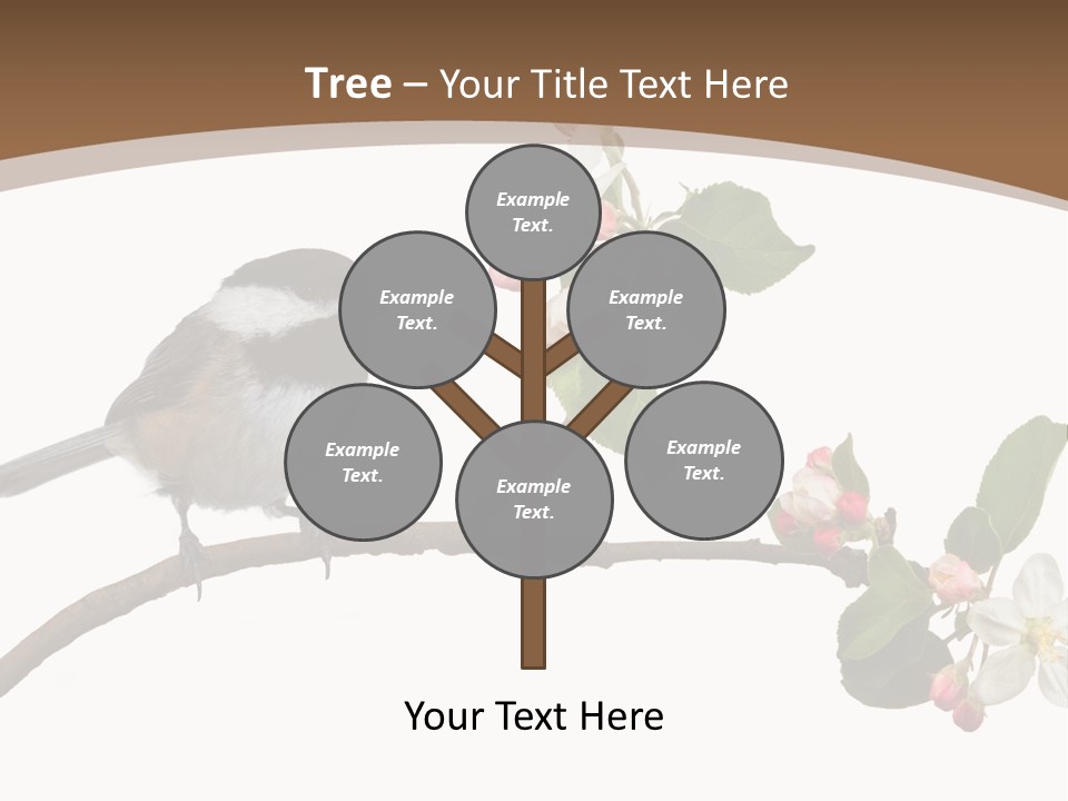 Flight Birding Bill PowerPoint Template