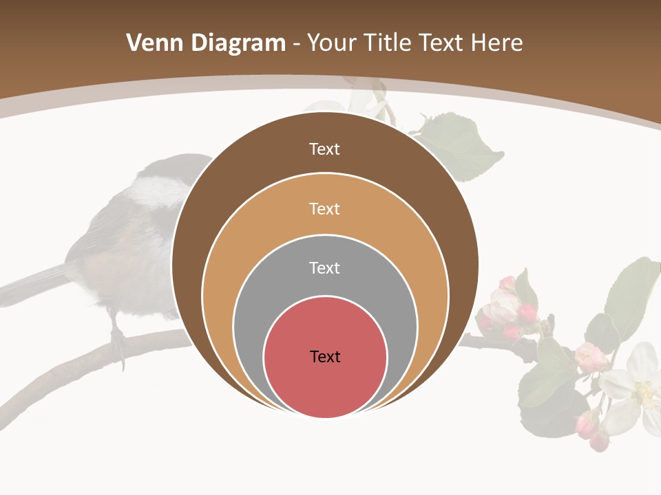 Flight Birding Bill PowerPoint Template