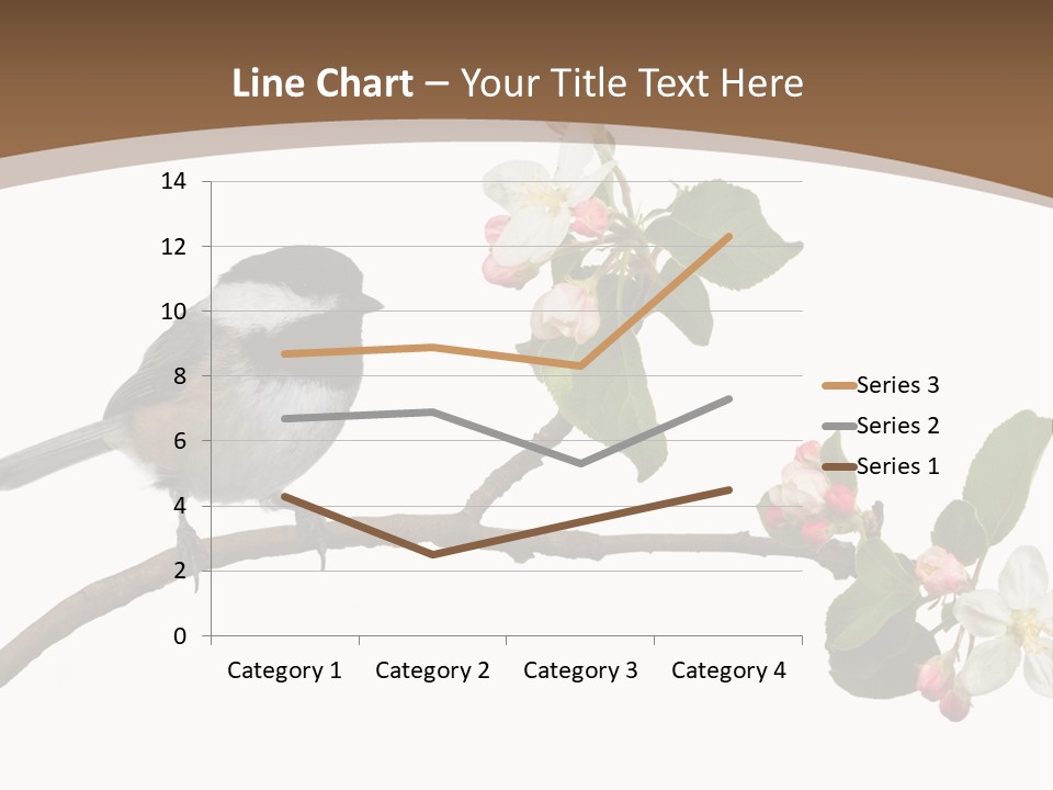 Flight Birding Bill PowerPoint Template