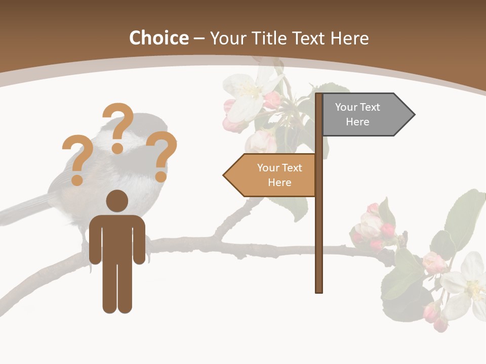 Flight Birding Bill PowerPoint Template