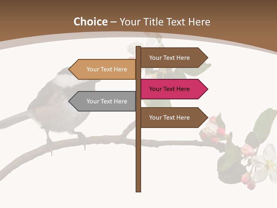 Flight Birding Bill PowerPoint Template