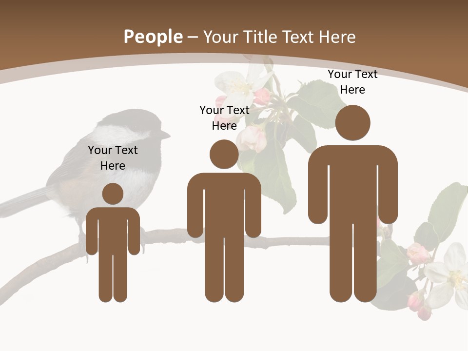 Flight Birding Bill PowerPoint Template