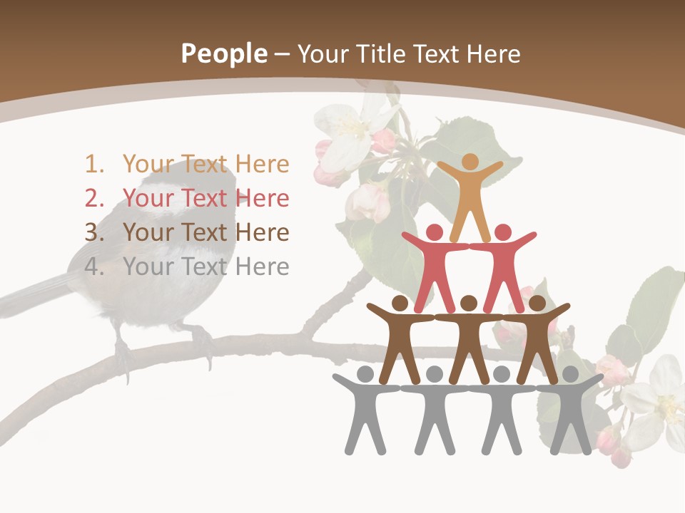 Flight Birding Bill PowerPoint Template