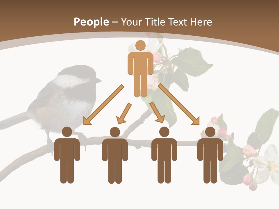 Flight Birding Bill PowerPoint Template