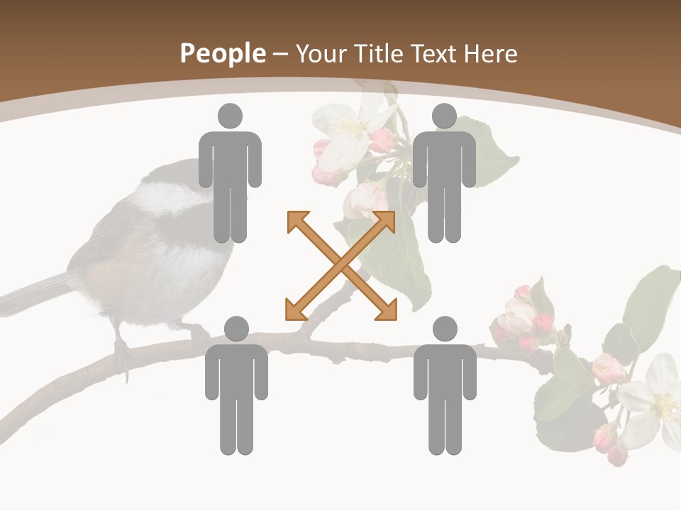 Flight Birding Bill PowerPoint Template