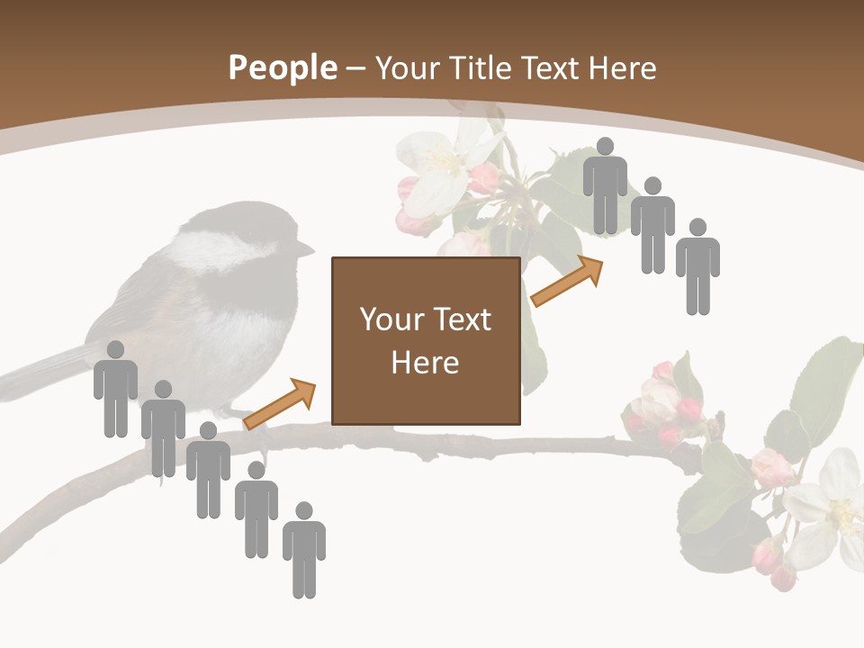 Flight Birding Bill PowerPoint Template