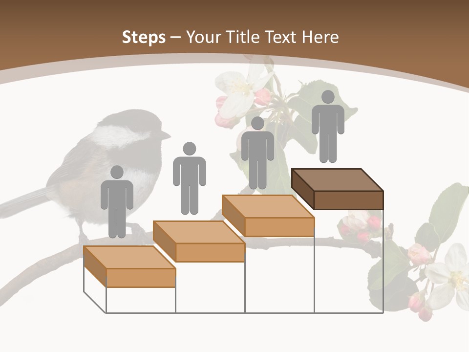 Flight Birding Bill PowerPoint Template