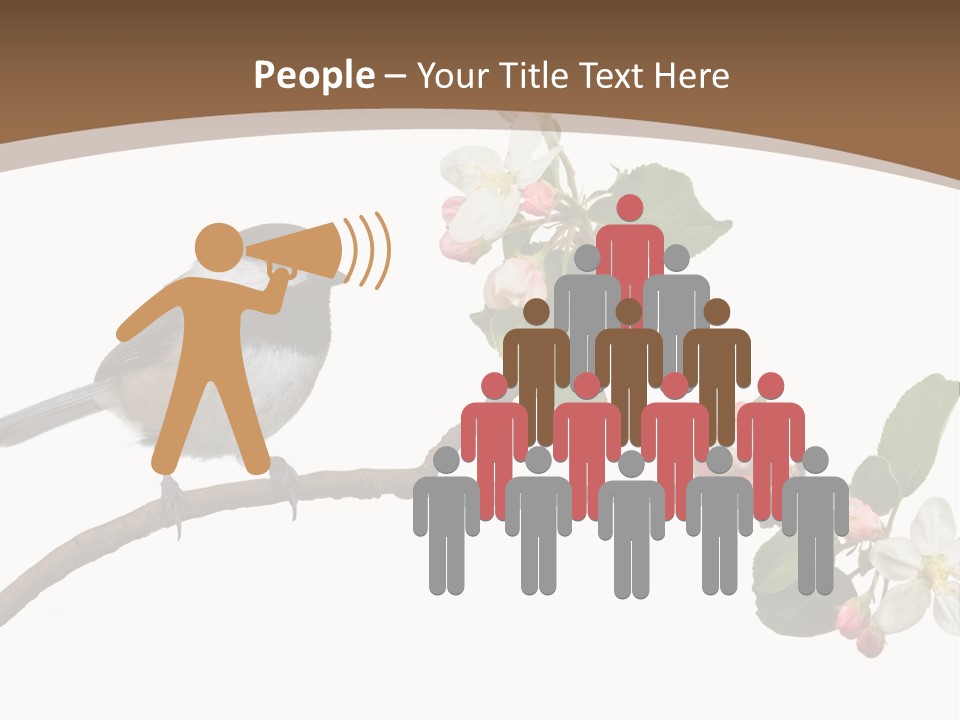 Flight Birding Bill PowerPoint Template