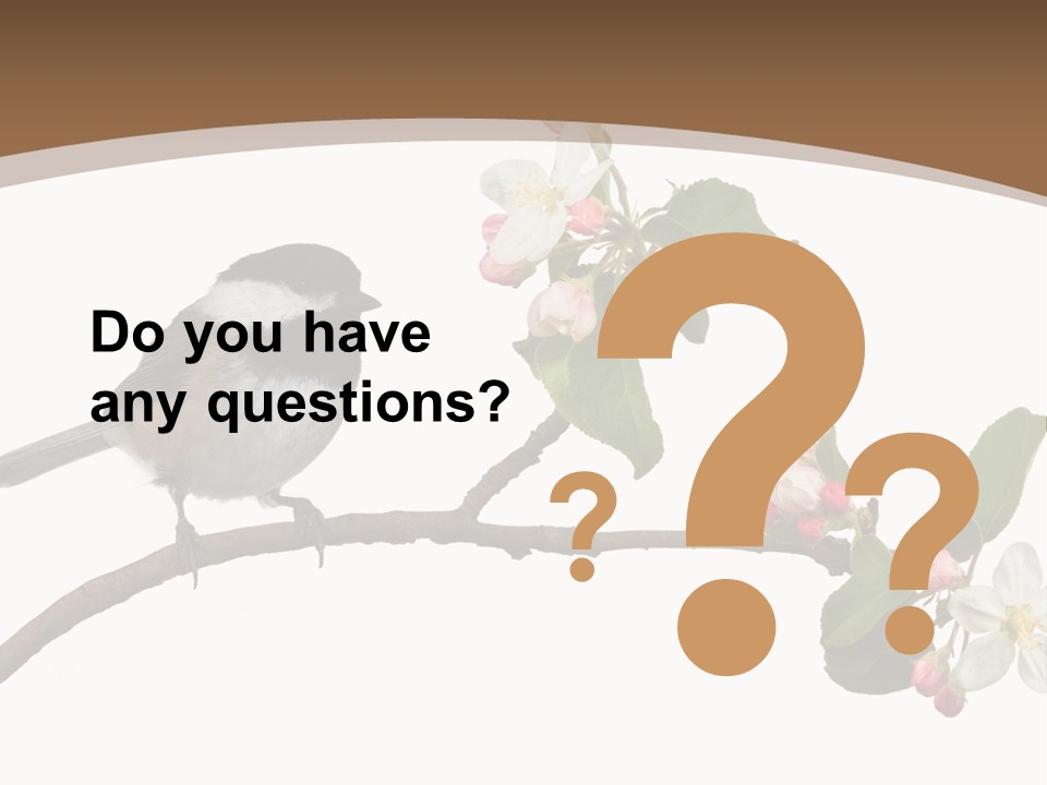 Flight Birding Bill PowerPoint Template