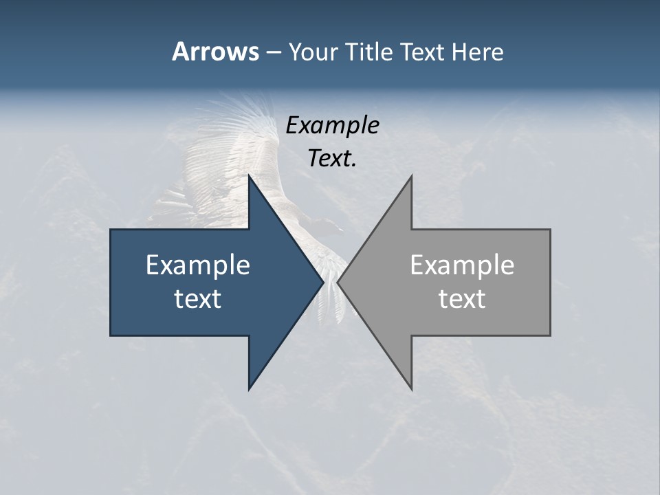 Wildlife Hunting Latin PowerPoint Template