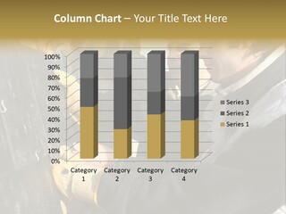 Front Persons Protection PowerPoint Template