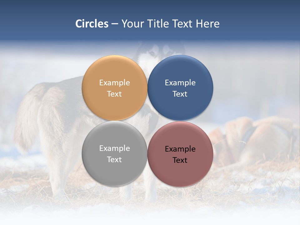 Dog Fur Snow PowerPoint Template