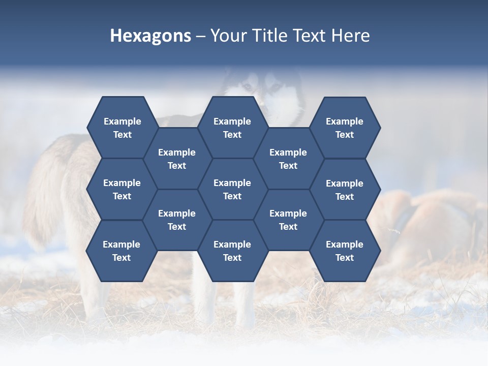 Dog Fur Snow PowerPoint Template