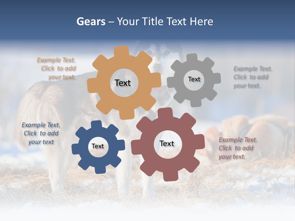 Dog Fur Snow PowerPoint Template