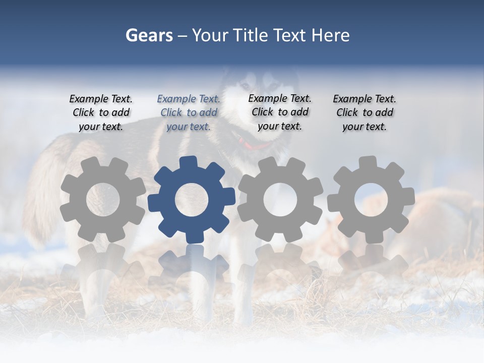 Dog Fur Snow PowerPoint Template