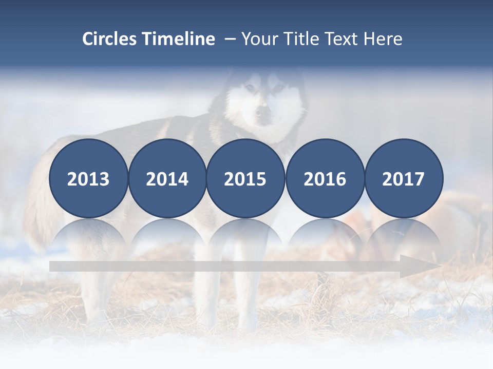 Dog Fur Snow PowerPoint Template