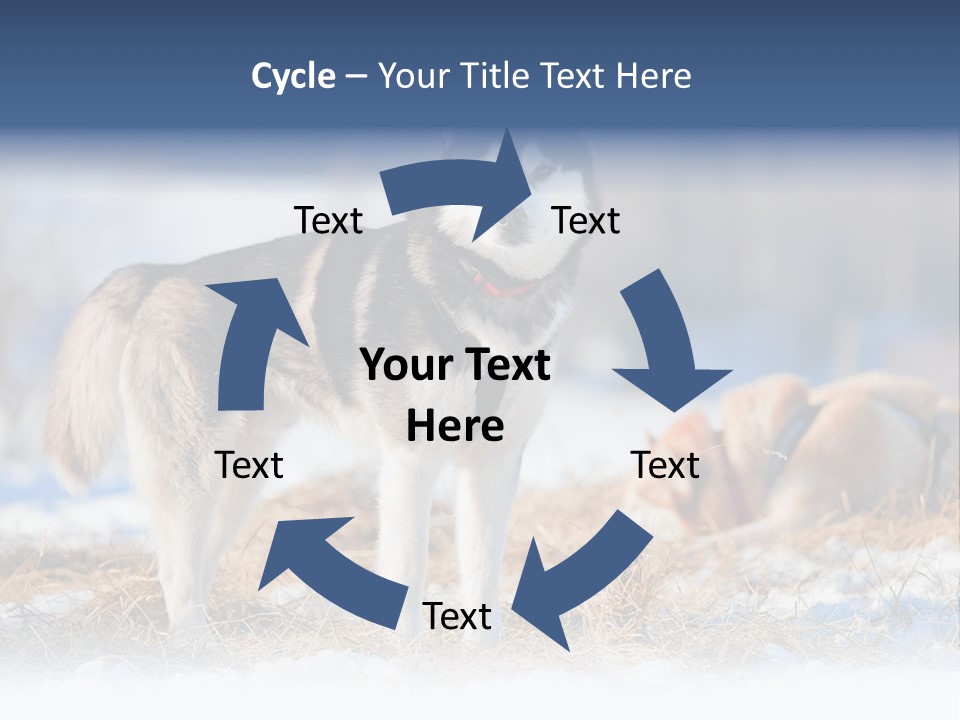 Dog Fur Snow PowerPoint Template