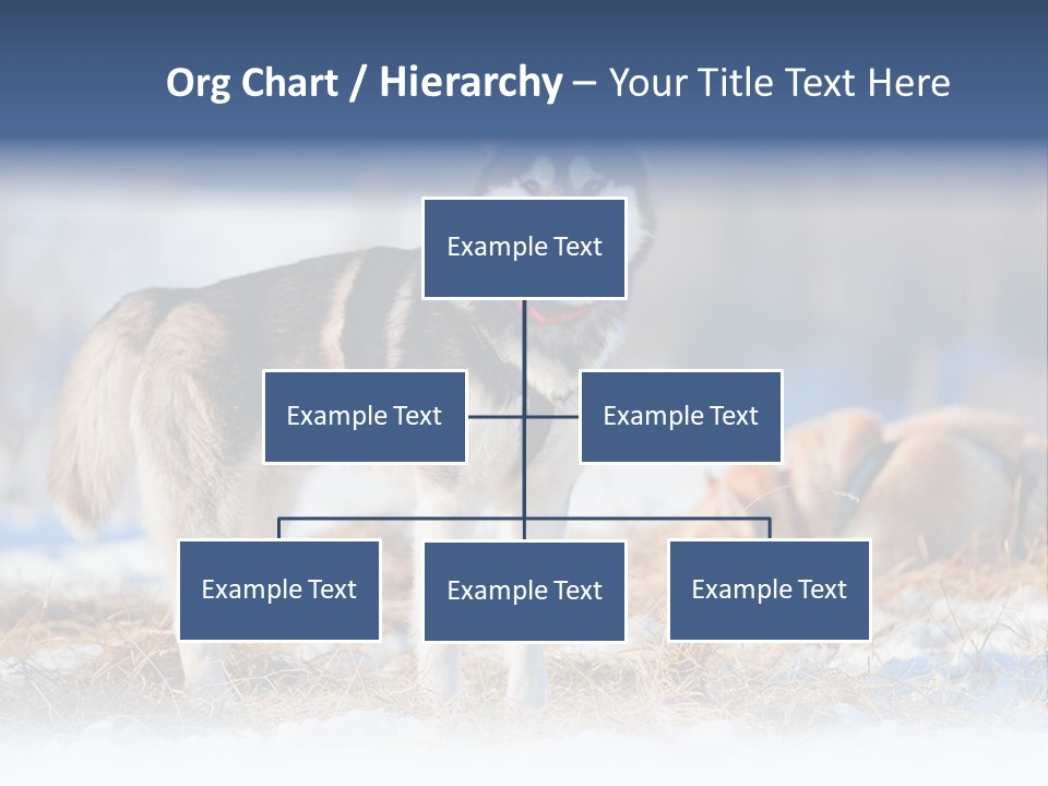 Dog Fur Snow PowerPoint Template