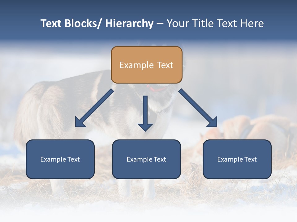 Dog Fur Snow PowerPoint Template