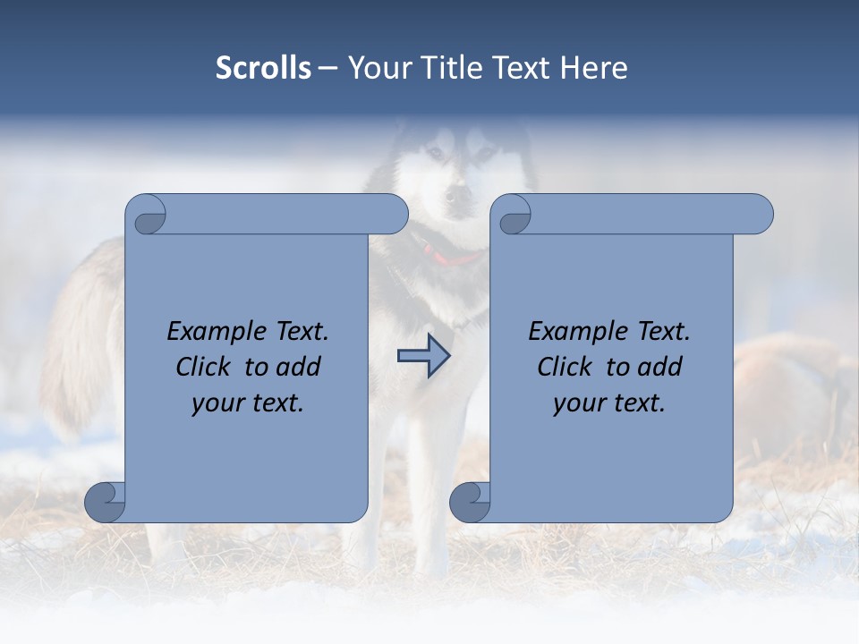 Dog Fur Snow PowerPoint Template