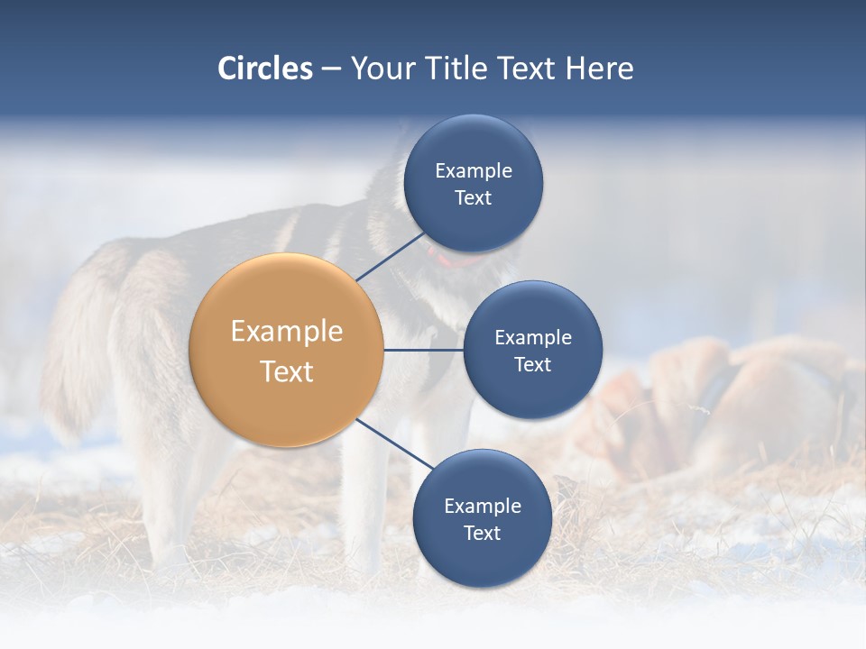 Dog Fur Snow PowerPoint Template