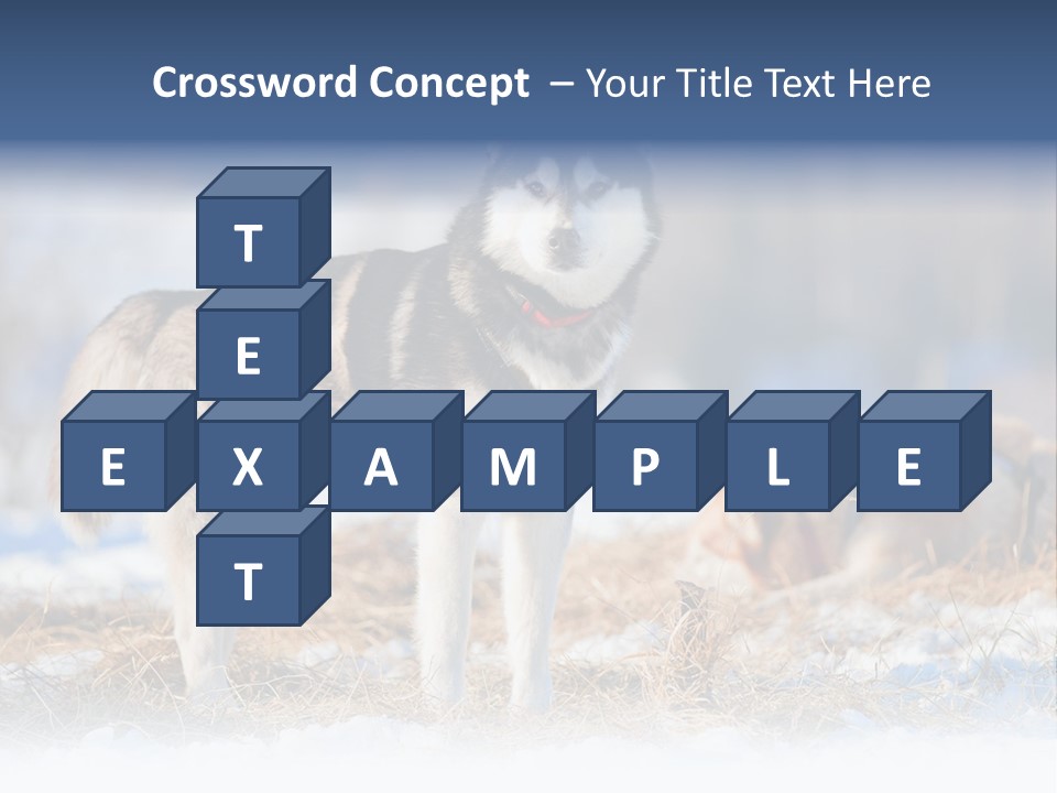 Dog Fur Snow PowerPoint Template