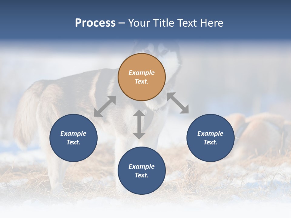 Dog Fur Snow PowerPoint Template