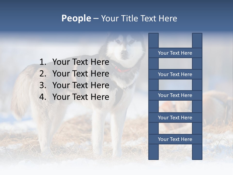 Dog Fur Snow PowerPoint Template