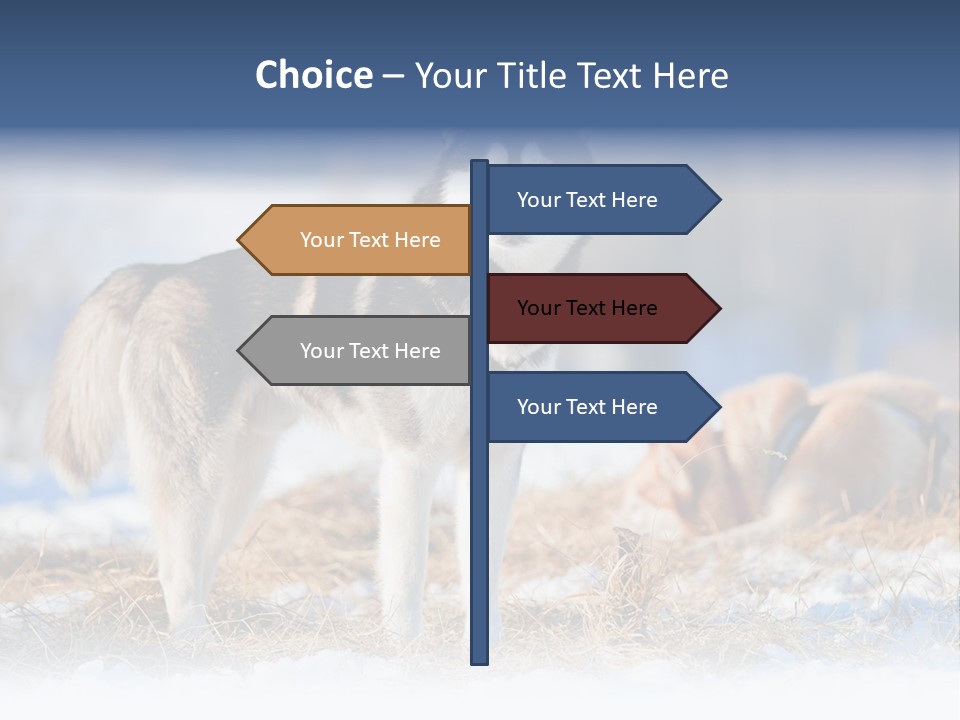 Dog Fur Snow PowerPoint Template