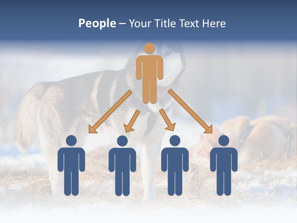 Dog Fur Snow PowerPoint Template