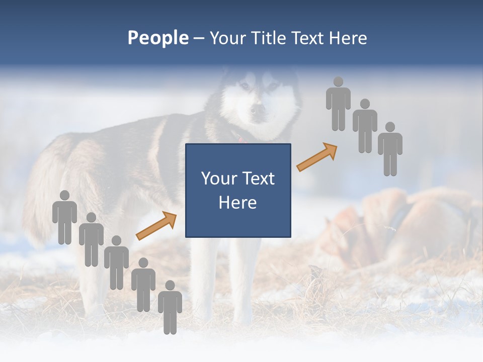 Dog Fur Snow PowerPoint Template