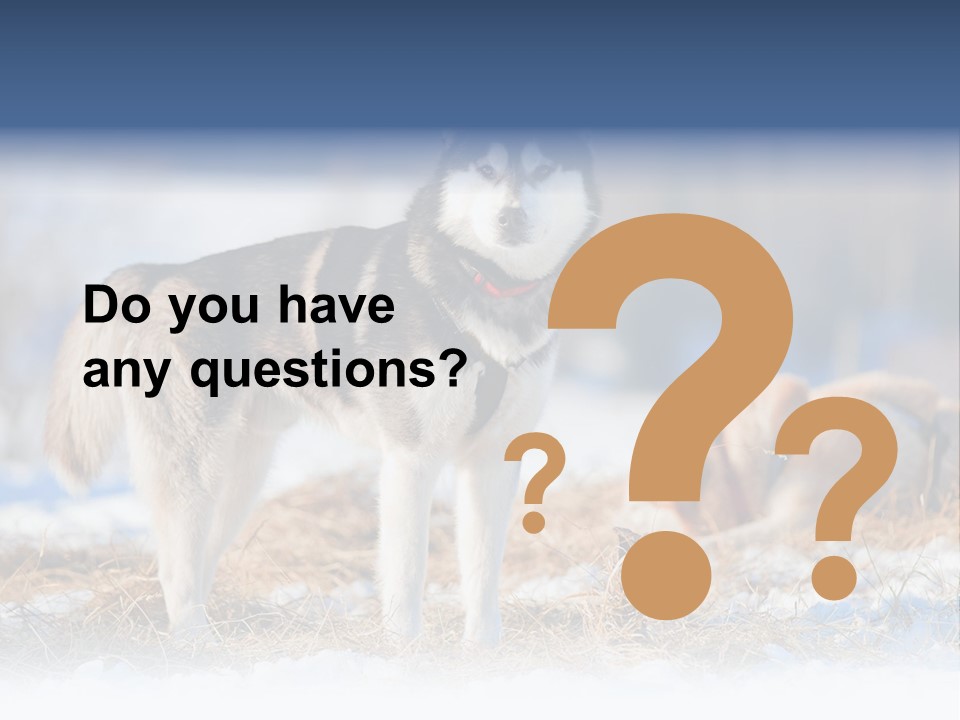 Dog Fur Snow PowerPoint Template