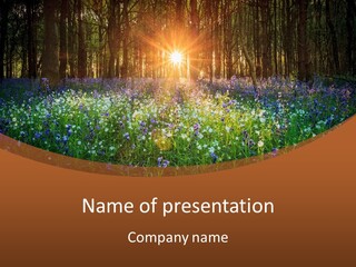 Sunrise Wildflowers Dawn PowerPoint Template