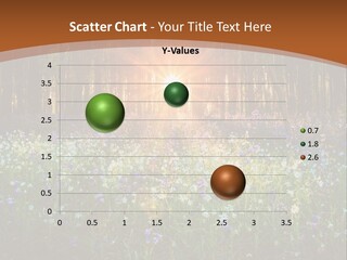 Sunrise Wildflowers Dawn PowerPoint Template