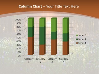 Sunrise Wildflowers Dawn PowerPoint Template