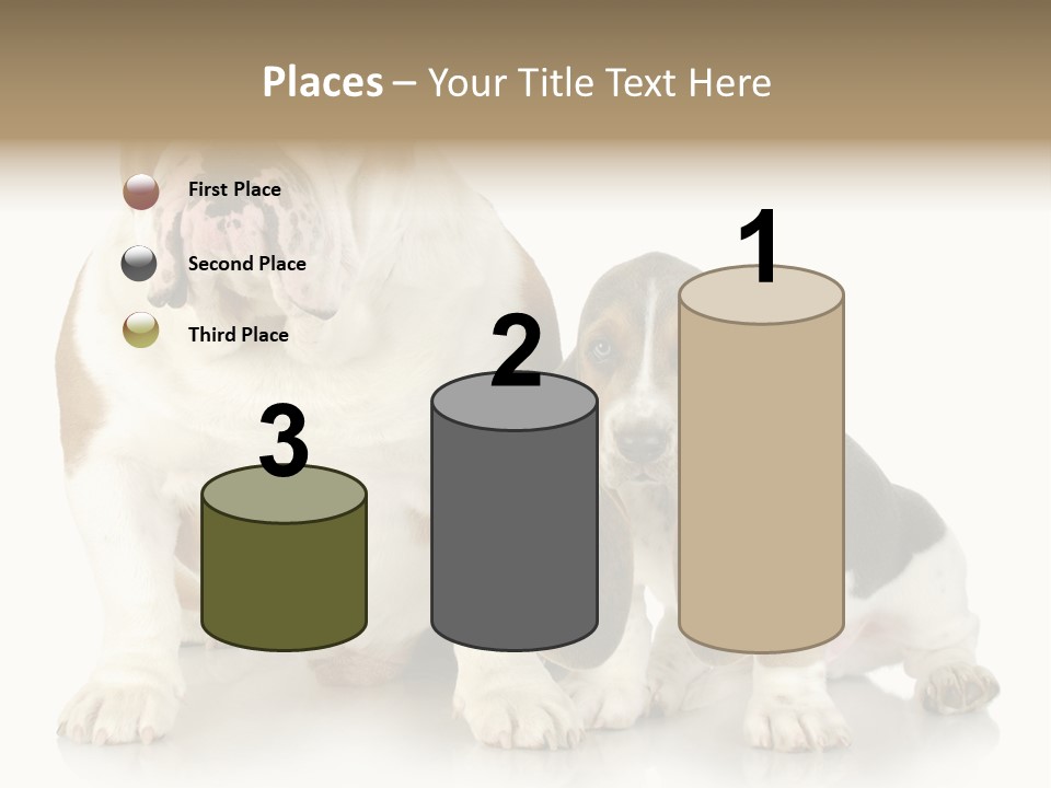 Family Studio Blue PowerPoint Template