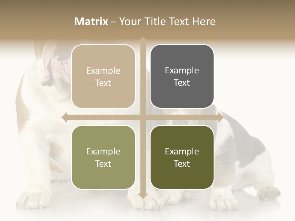 Family Studio Blue PowerPoint Template