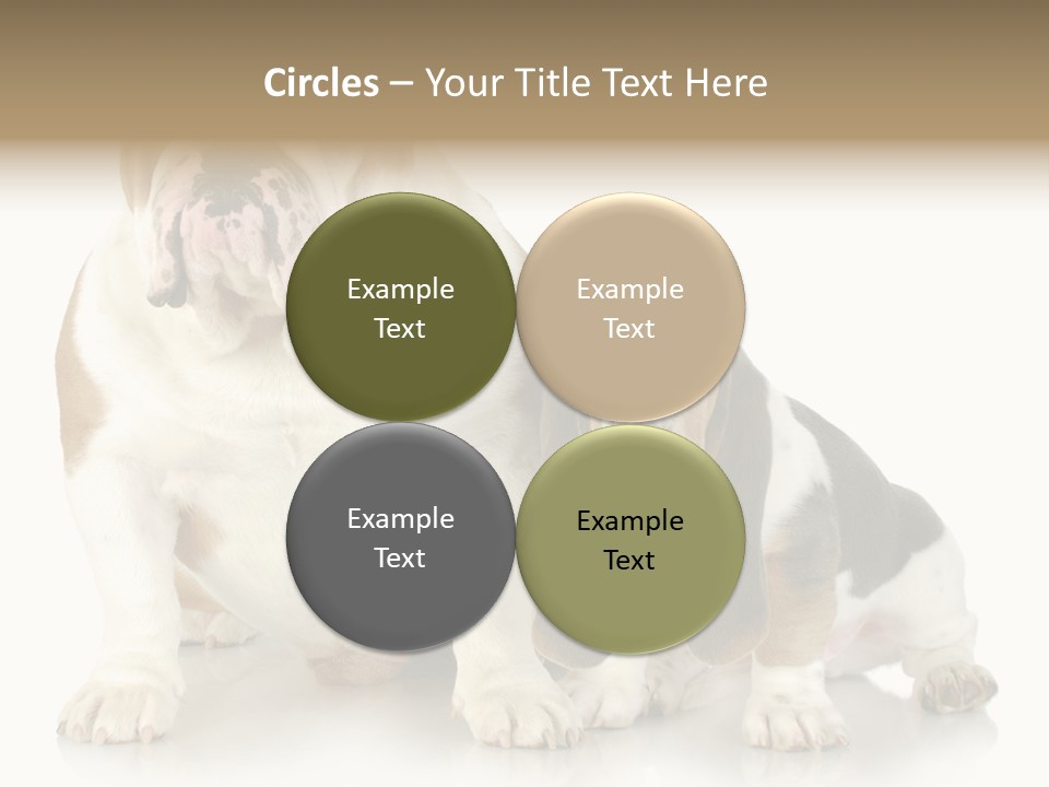 Family Studio Blue PowerPoint Template