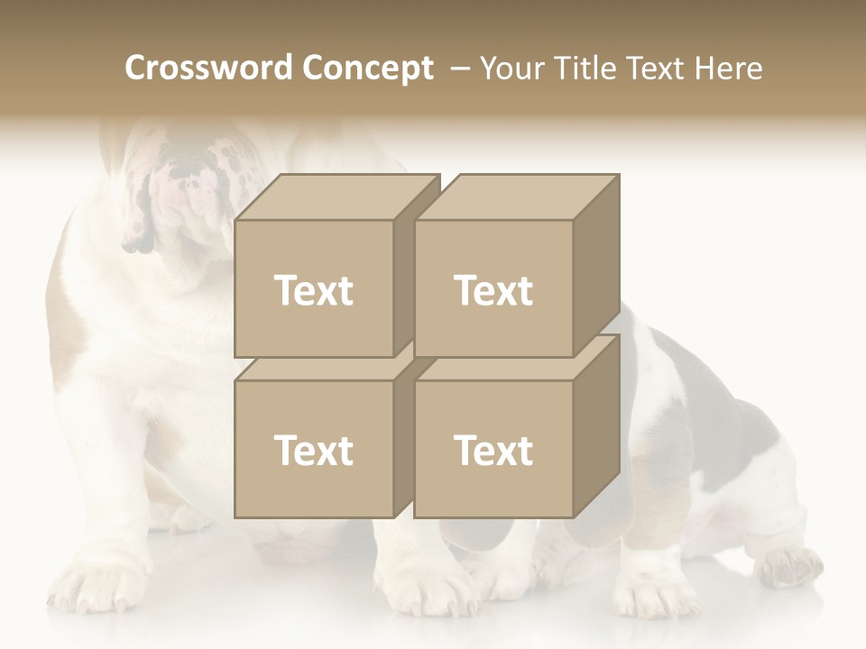 Family Studio Blue PowerPoint Template