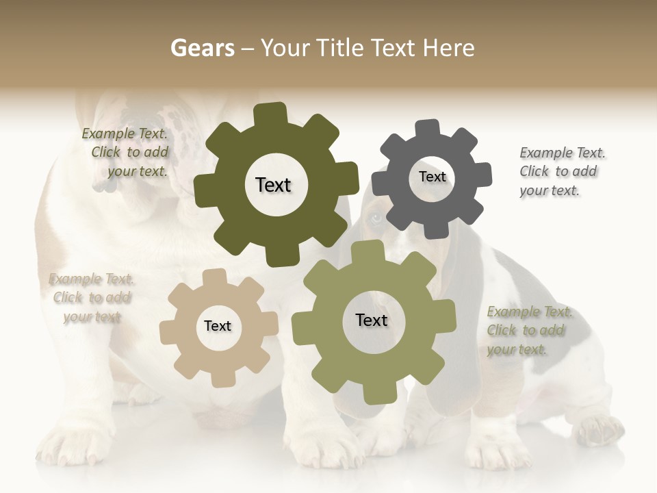 Family Studio Blue PowerPoint Template