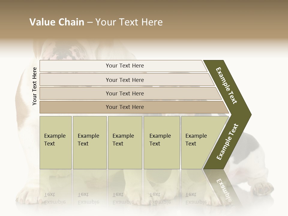 Family Studio Blue PowerPoint Template