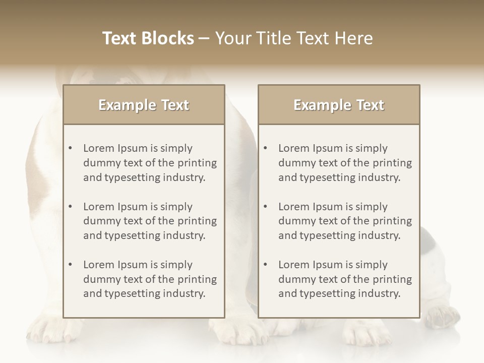 Family Studio Blue PowerPoint Template